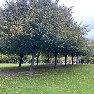 Glasgow Green